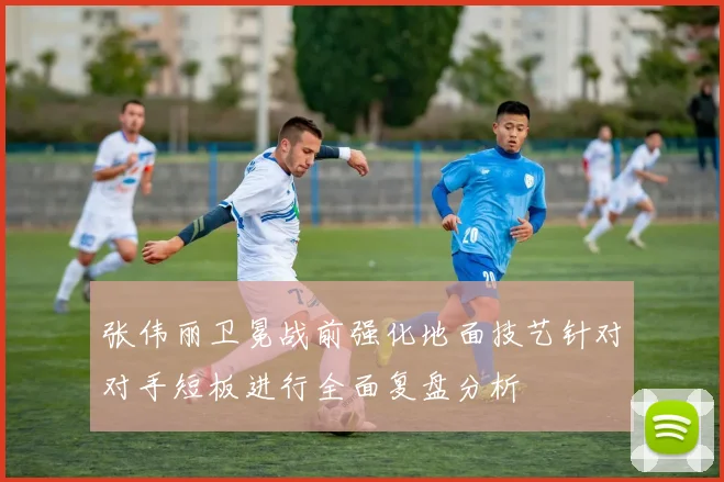 张伟丽卫冕战前强化地面技艺针对对手短板进行全面复盘分析
