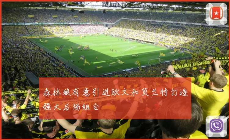 森林狼有意引进欧文和莫兰特打造强大后场组合